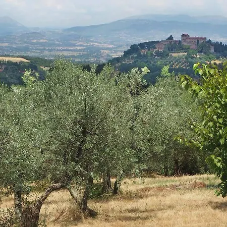 Authentic Italian Feeling - Montelagello *