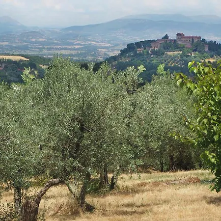 Apartment Authentic Italian Feeling - Montelagello *